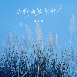 中国美女一级卖淫黄色片wwwq
