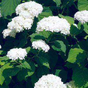 中国美女一级卖淫黄色片wwwq
